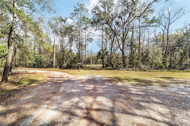 Listing photo 3 for TBD NW 193rd St, Micanopy FL 32667