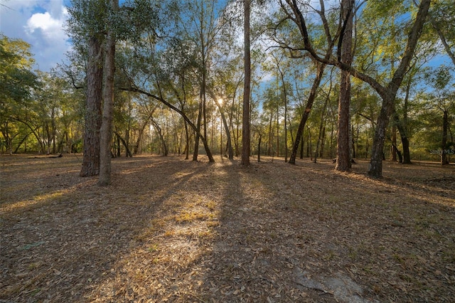 view of nature