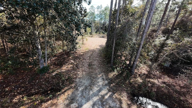 LOT6BLOCK115 S 8th St, Santa Rosa Beach FL, 32459 land for sale