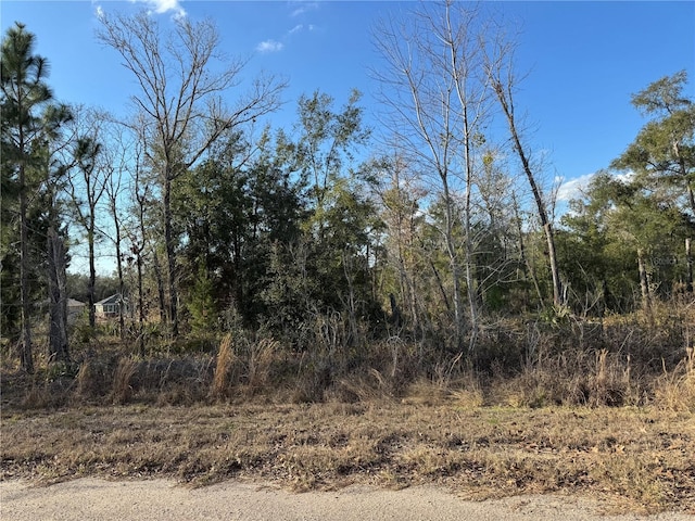 Fisher Lane Way, Ocklawaha FL, 32179 land for sale