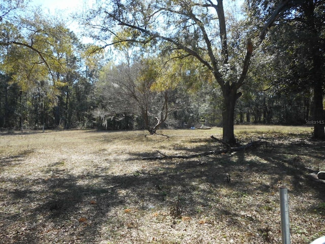 18800 SW 31st St, Dunnellon, FL 34432 - photo 5