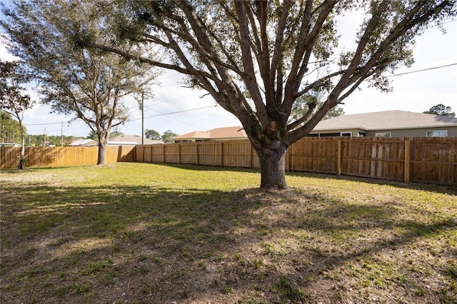 view of yard with a fenced backyard