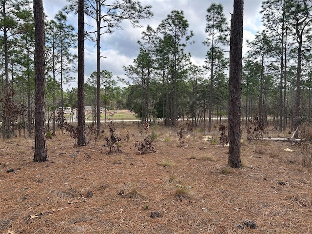 Listing photo 3 for TBD SW 125th Court Rd, Ocala FL 34481