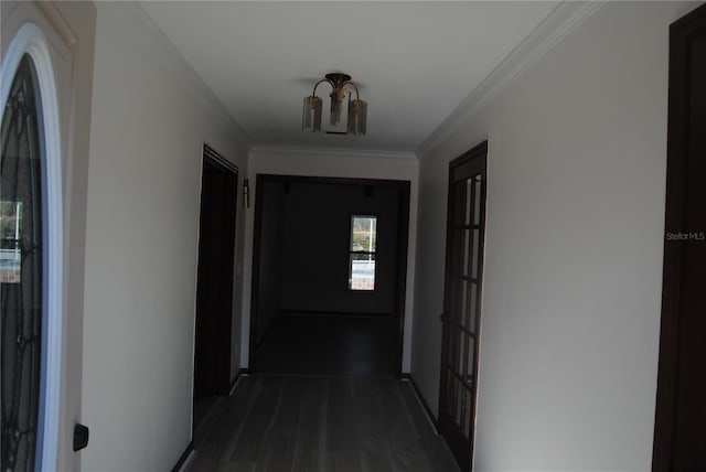 3560 SW 24th Avenue Rd, Ocala, FL 34471 - photo 19