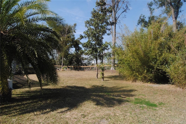 3560 SW 24th Avenue Rd, Ocala, FL 34471 - photo 49