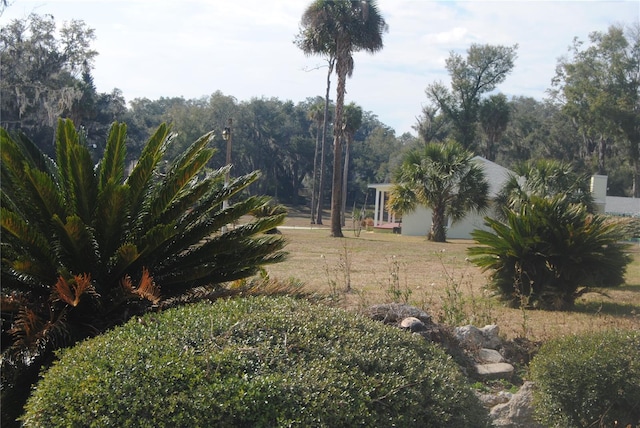 3560 SW 24th Avenue Rd, Ocala, FL 34471 - photo 97