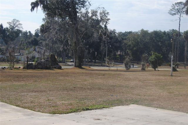 3560 SW 24th Avenue Rd, Ocala, FL 34471 - photo 98