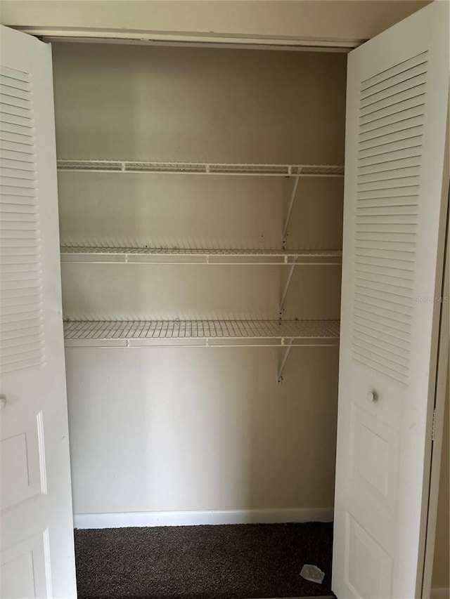 view of closet