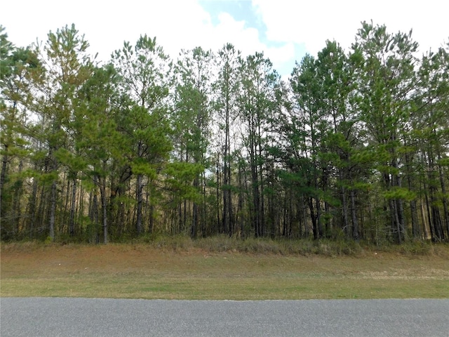 LOT4 NW 145th Ave, Williston FL, 32696 land for sale