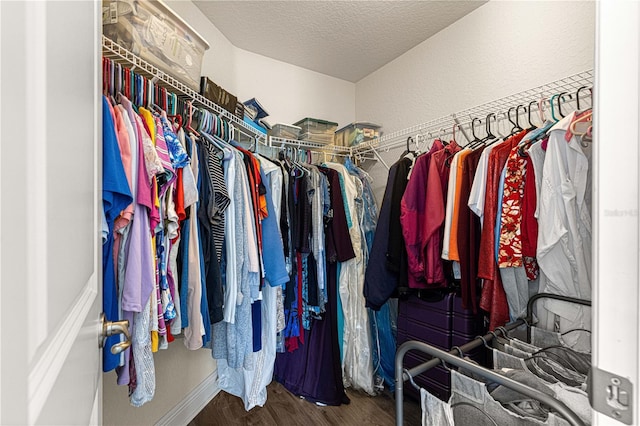 spacious closet with hardwood / wood-style flooring