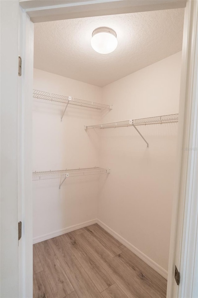 spacious closet with light wood-type flooring