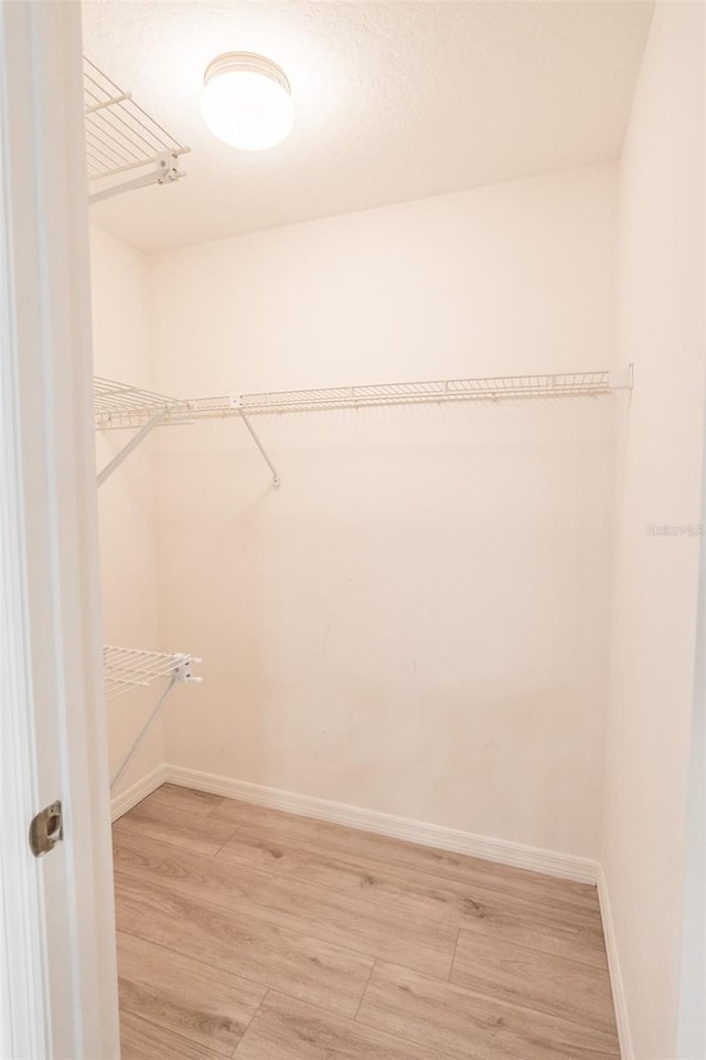 spacious closet featuring hardwood / wood-style floors