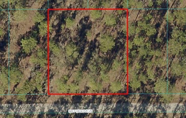 NW Foxglove Ln, Dunnellon FL, 34431 land for sale