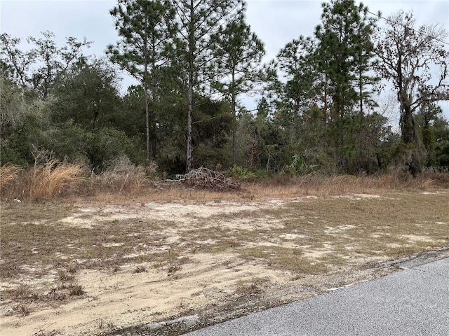 Listing photo 3 for LOT27 SW 77th Ave, Ocala FL 34473