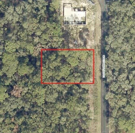 Locust Terrace Run, Ocala, FL 34472