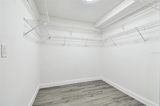 walk in closet featuring wood finished floors