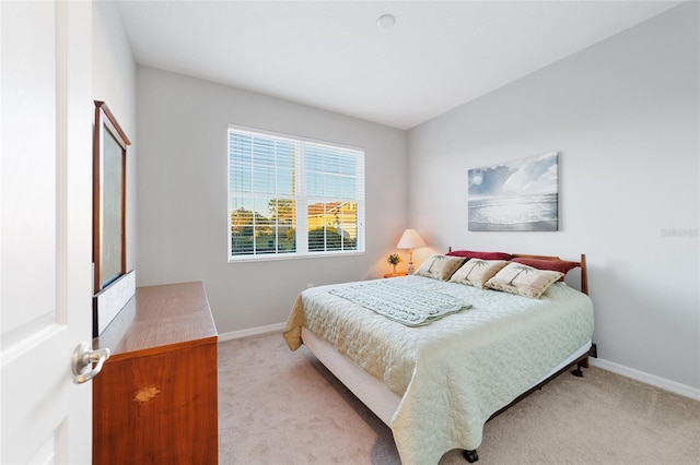 bedroom featuring carpet flooring