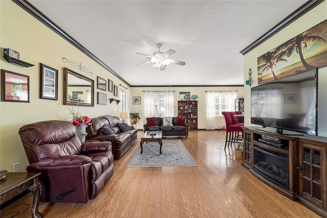 living room with ceiling fan, ornamental molding, a textured ceiling, and light wood-type flooring