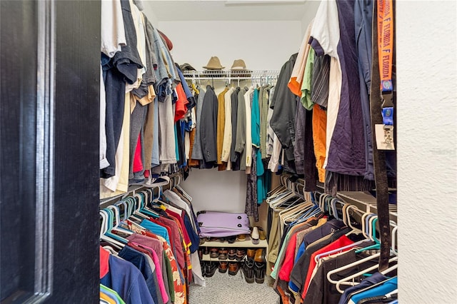 spacious closet featuring carpet