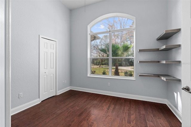 spare room with dark hardwood / wood-style flooring and a healthy amount of sunlight