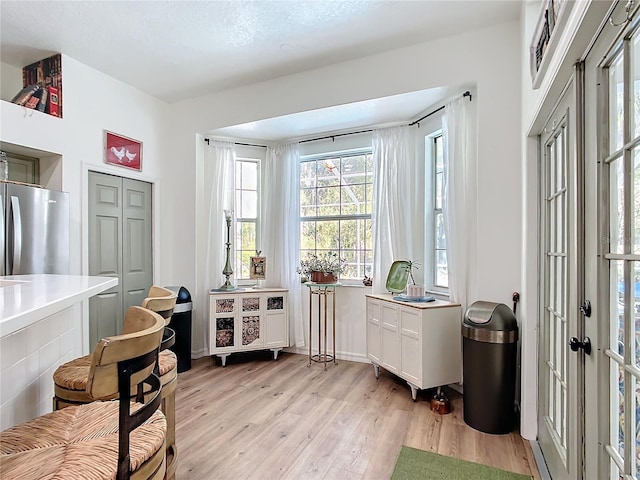 interior space with light wood-type flooring