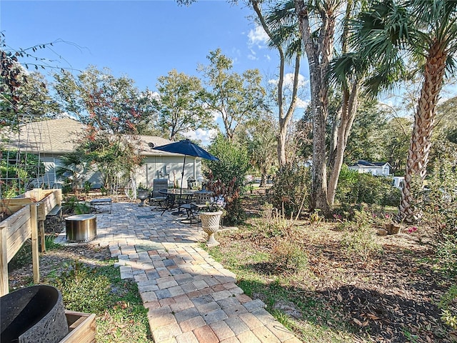 view of yard featuring a patio