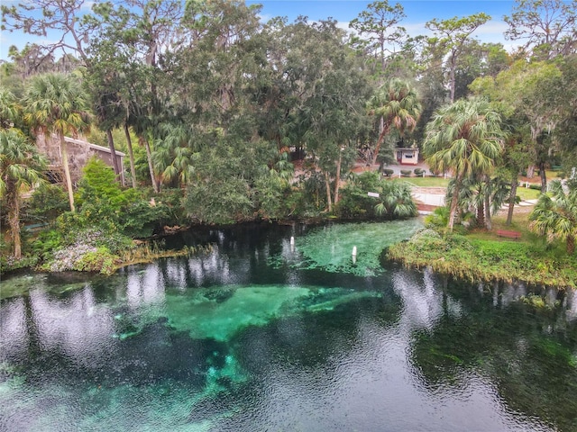 property view of water