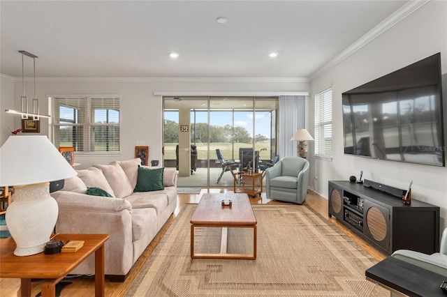 living room featuring light hardwood / wood-style flooring and ornamental molding