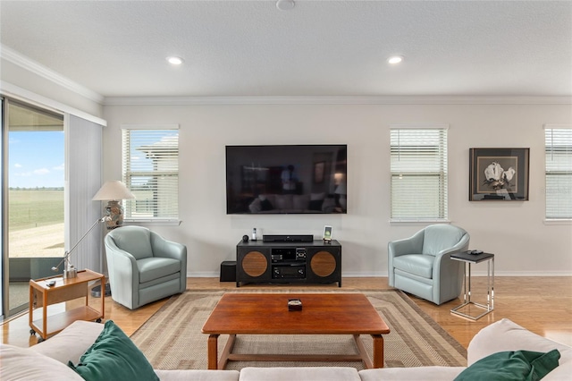 living room featuring crown molding, a textured ceiling, and light hardwood / wood-style floors