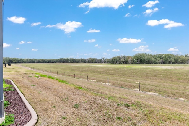 view of yard with a rural view