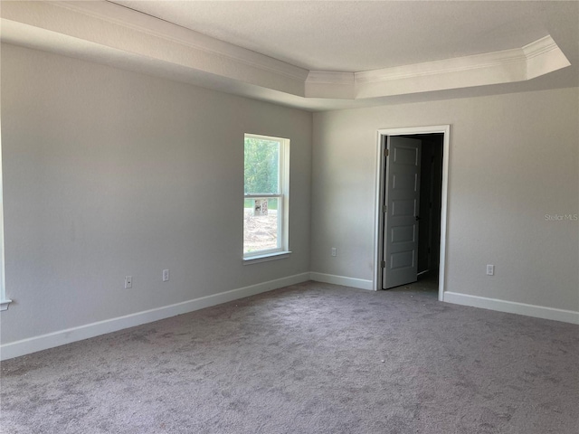 spare room featuring crown molding, a raised ceiling, and carpet floors