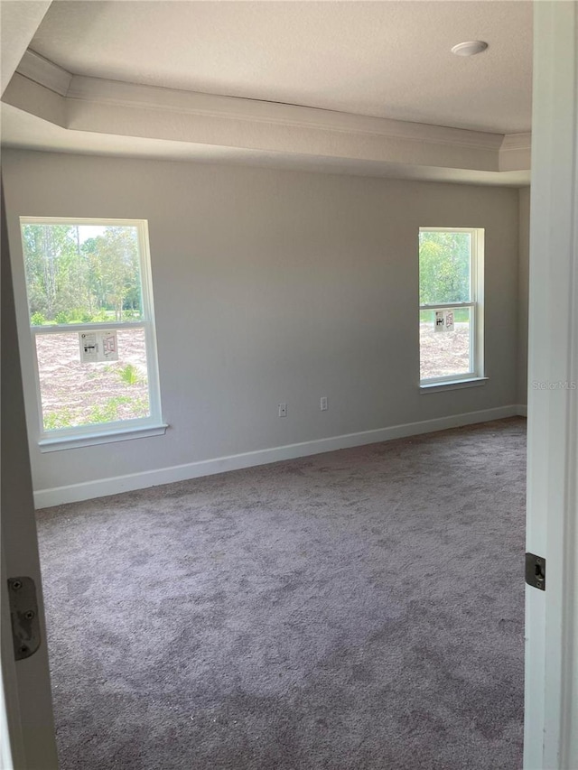 empty room featuring crown molding and carpet