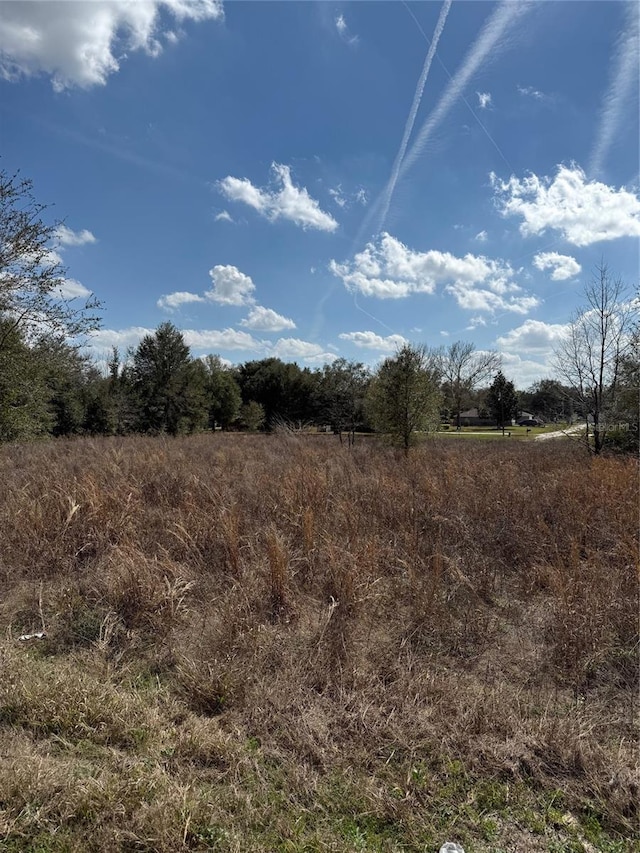 TBD SW 100th Ln, Dunnellon FL, 34432 land for sale