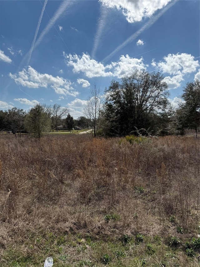 Listing photo 2 for TBD SW 100th Ln, Dunnellon FL 34432