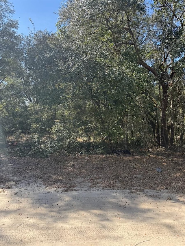 TBD NW 52nd Ct, Ocala, FL 34482