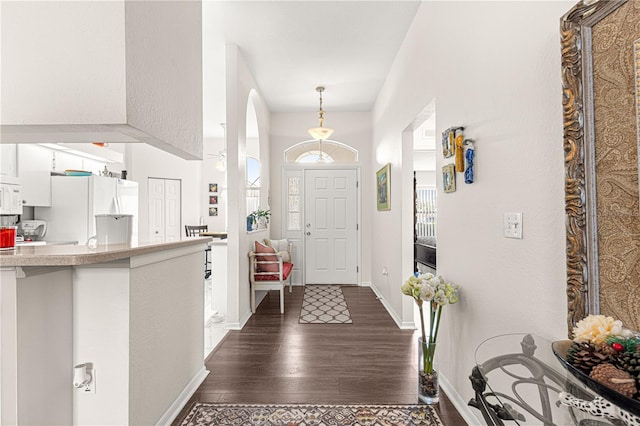 entrance foyer with baseboards and dark wood-style flooring