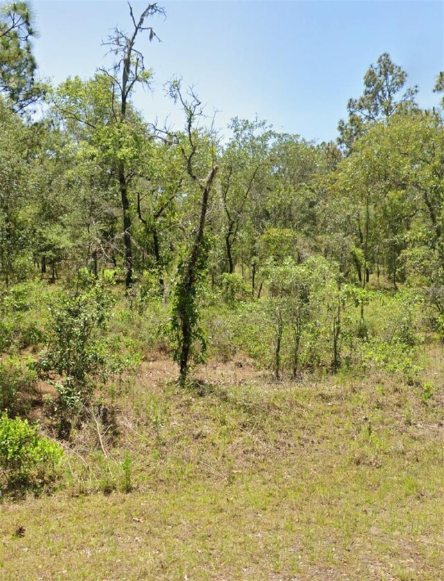 00 NW Mallard Ave, Dunnellon FL, 34431 land for sale