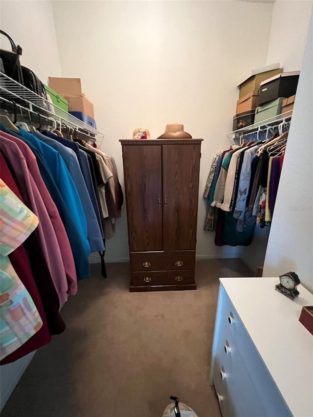 5500 NW 23rd Pl, Ocala, FL 34482 - spacious closet with carpet flooring