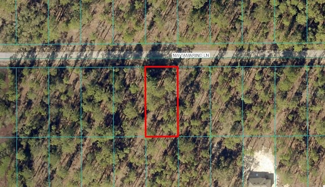 TBDLOT6 NW Tamarind Ln, Dunnellon FL, 34431 land for sale