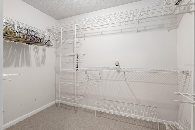 spacious closet with carpet flooring