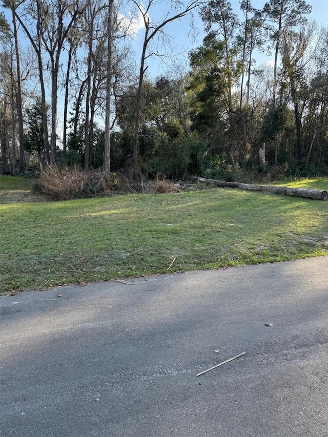 SE 119th St, Belleview FL, 34420 land for sale