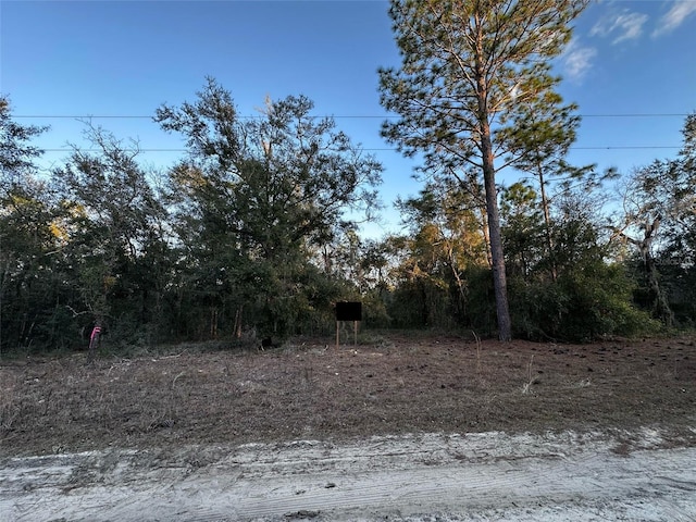 NE 155th Ct, Williston FL, 32696 land for sale