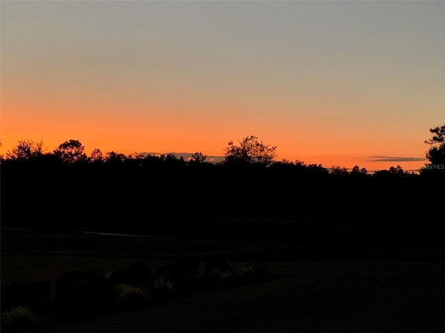 view of nature at dusk