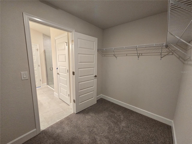 336 W Twisted Oaks Dr, Beverly Hills, FL 34465 - walk in closet with carpet flooring