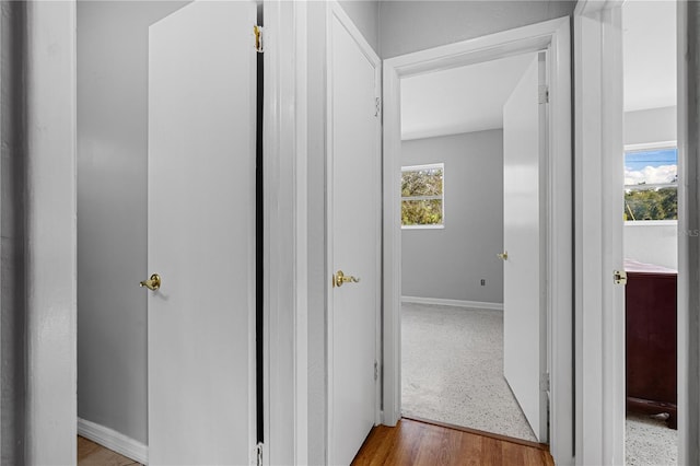 23761 SW Plaza Ct, Dunnellon, FL 34431 - hall featuring light hardwood / wood-style floors