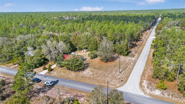 23761 SW Plaza Ct, Dunnellon, FL 34431 - aerial view