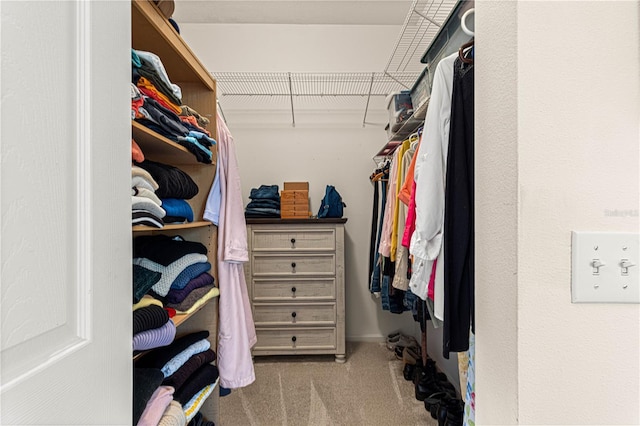 walk in closet featuring light carpet