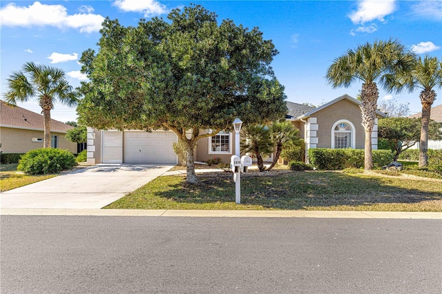 view of property hidden behind natural elements featuring stucco siding, a front lawn, and concrete driveway
