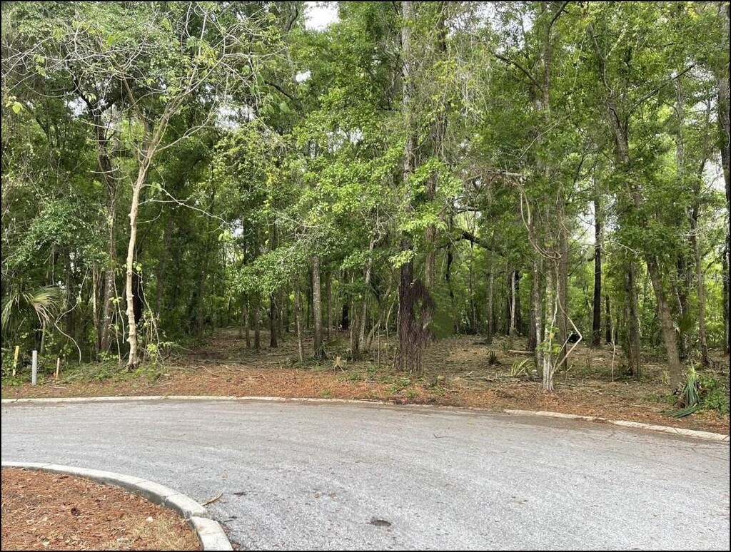 SE 43rd St, Ocala, FL 34480 - photo 1