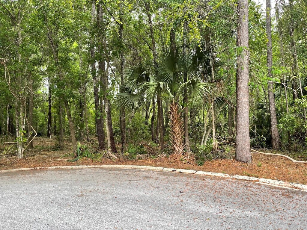 SE 43rd St, Ocala, FL 34480 - photo 2